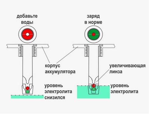 4567456.jpg